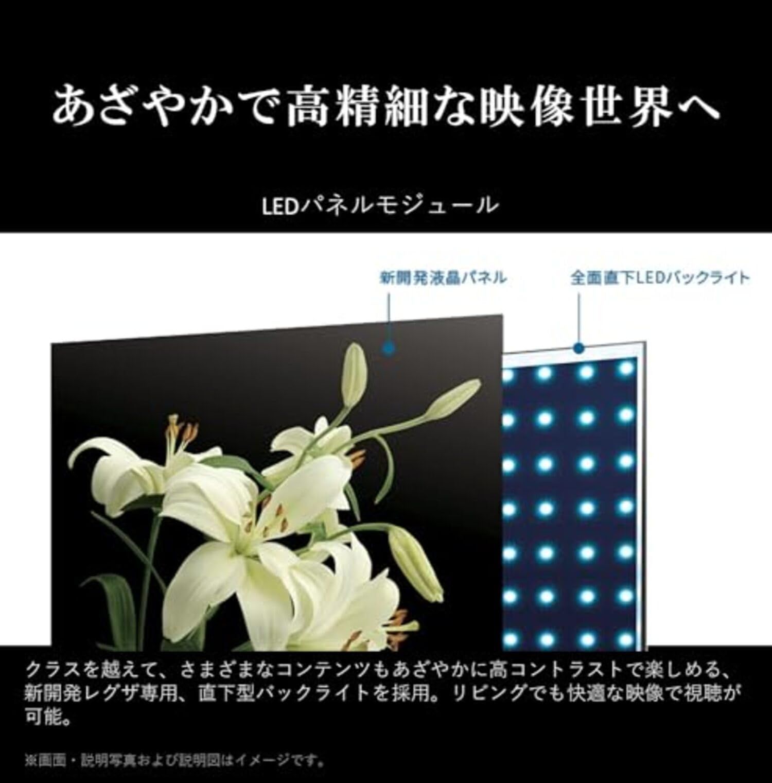 REGZA 65インチ Airplay 4K 液晶 65E350M テレビ REGZA 65E350M 4K液晶レグザ 65型 E350Mシリーズ