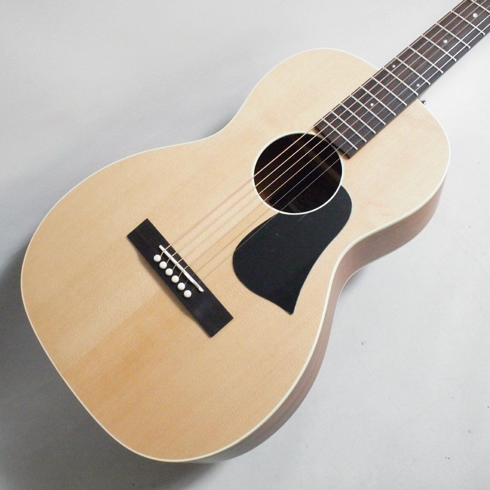 Singer Acoustic Imagine Series P01 Acoustic Guitar with Gig Bag