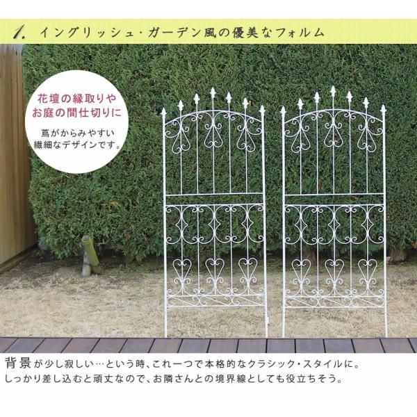 柵 バラ
