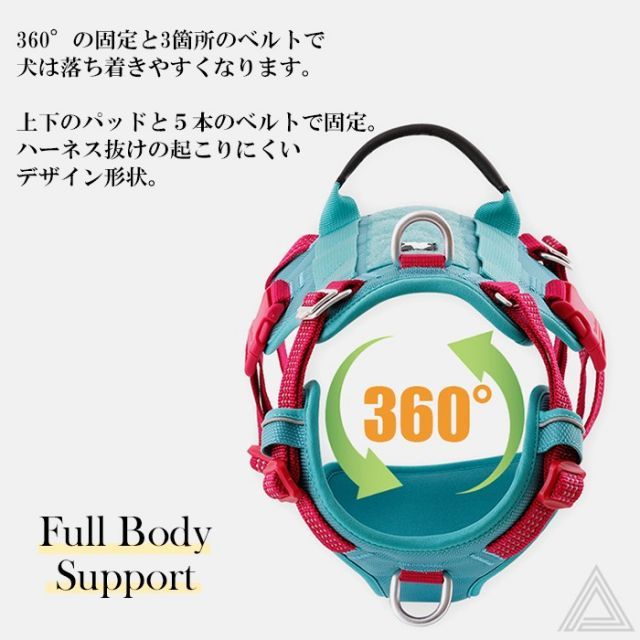 胴輪 しっかり