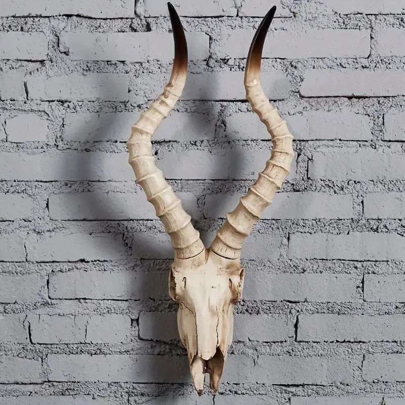オブジェ 頭蓋骨 頭 ハンティングトロフィー 山羊 羊 壁掛け インテリア ハンティングトロフィー オブジェ 壁掛けインテリア 動物の頭 羊