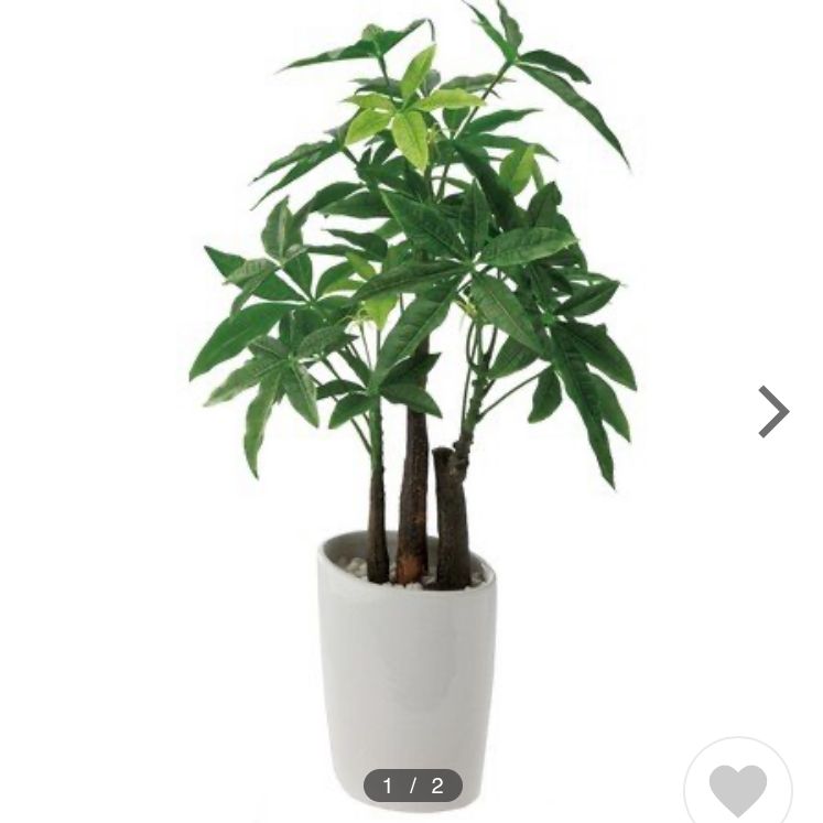人工観葉植物 ウォールグリーン
