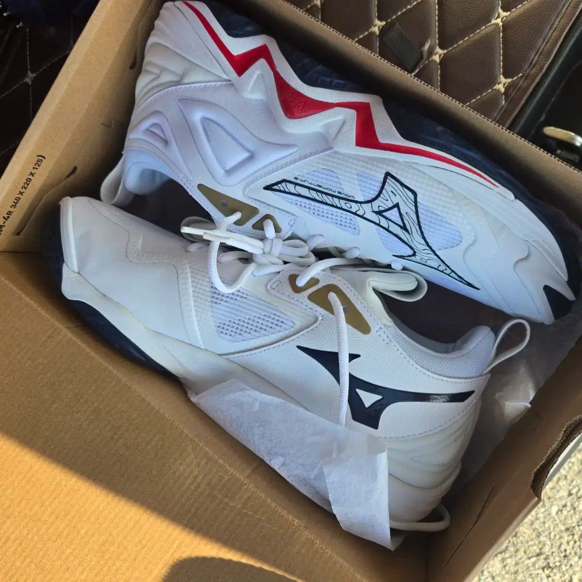 Mizuno ミズノ 波 勢い 3 バレーボールシューズ