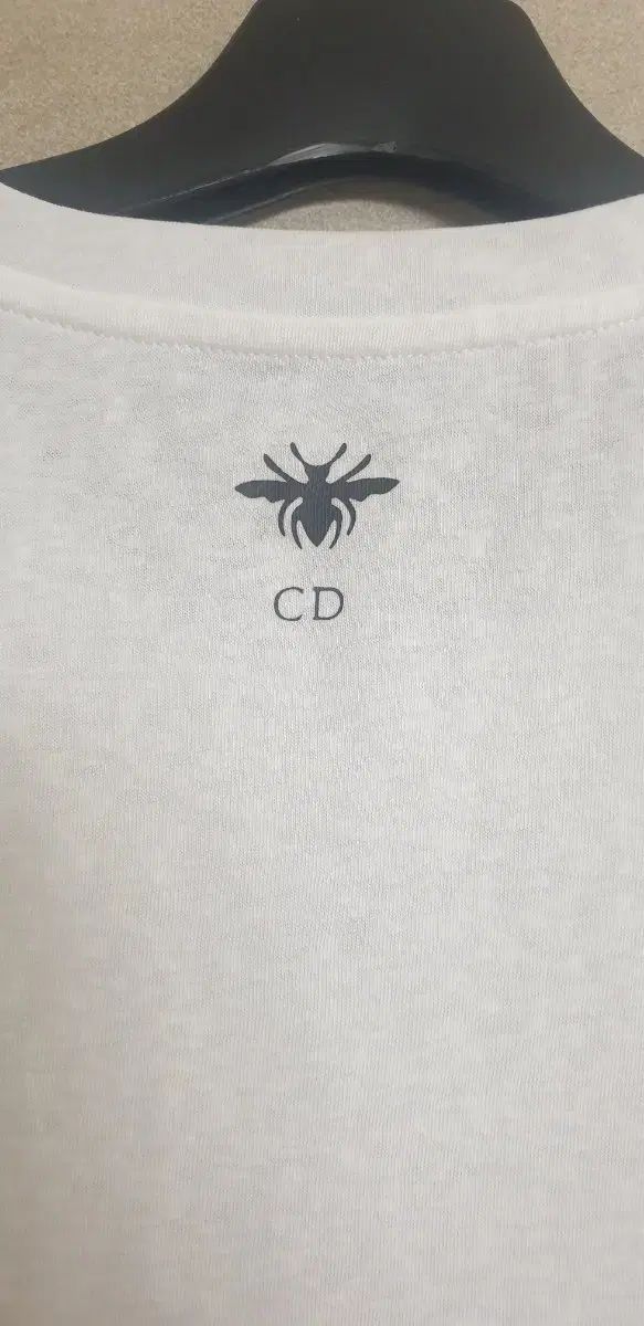 ルームマップ コットンTシャツ