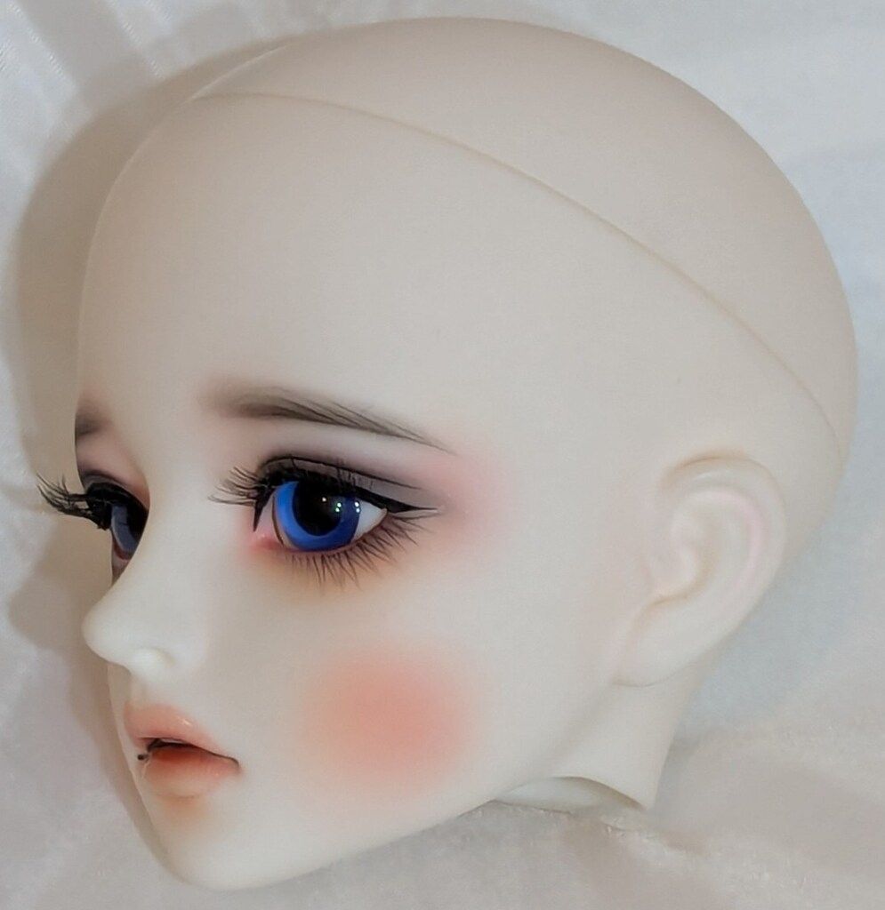Harmony Sophia