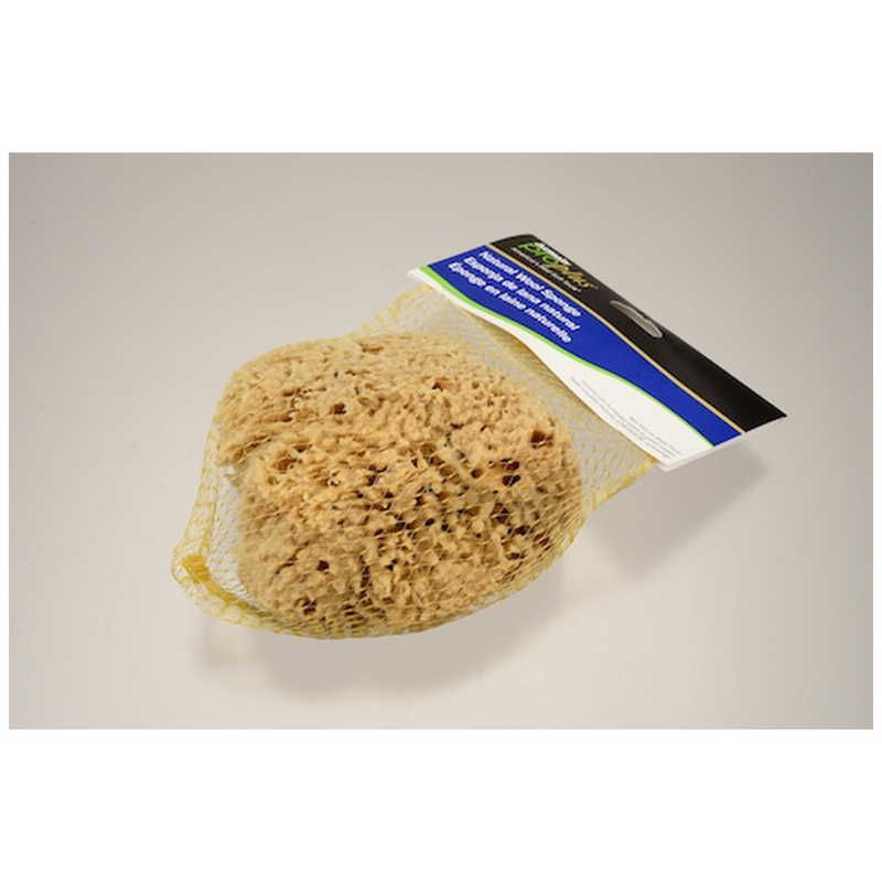 大塚刷毛製造 天然海綿 ハニコム種 Lサイズ 1612280004