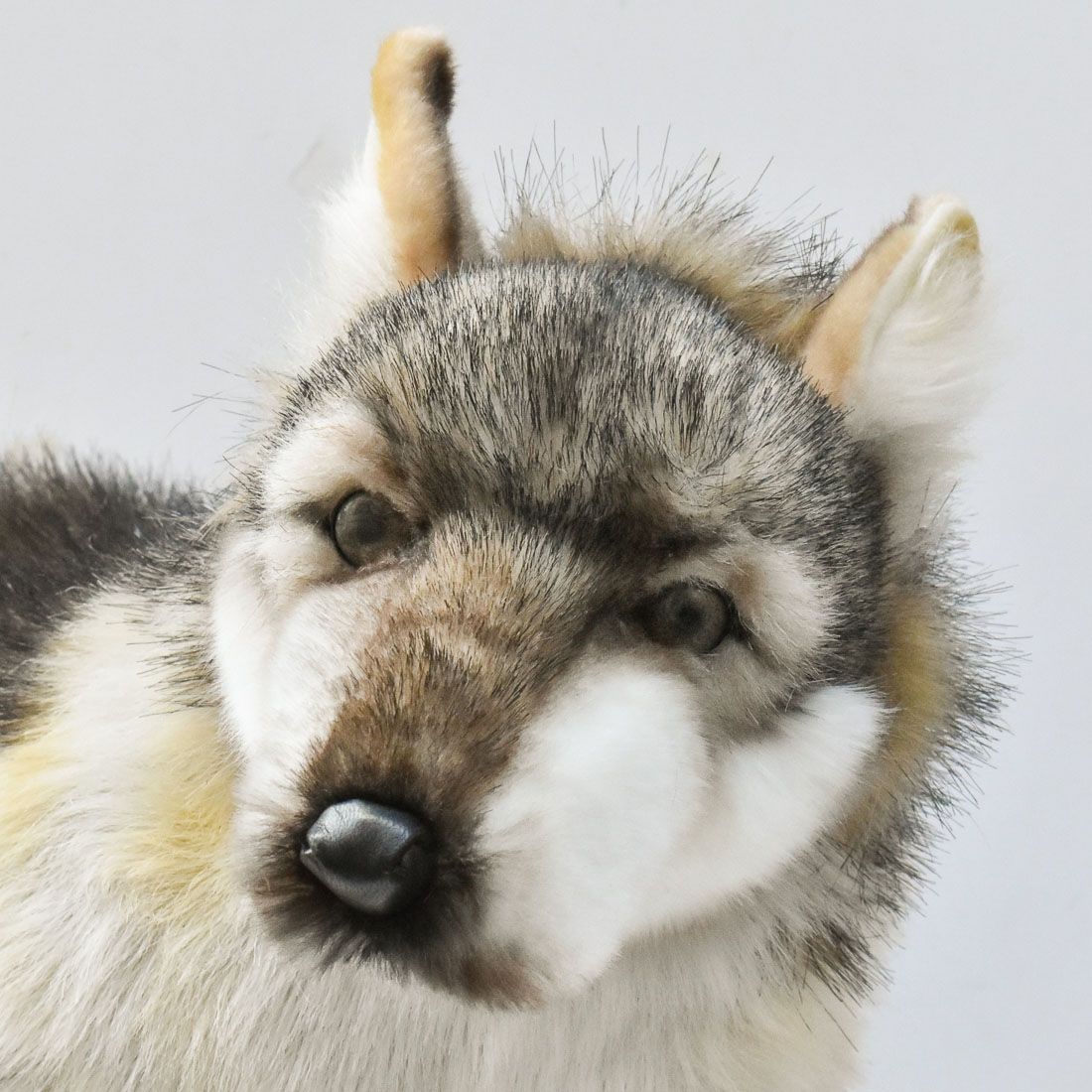 HANSA 6762 オオカミ66 WOLF LAYING BH6762 ぬいぐるみ ハンサ 狼