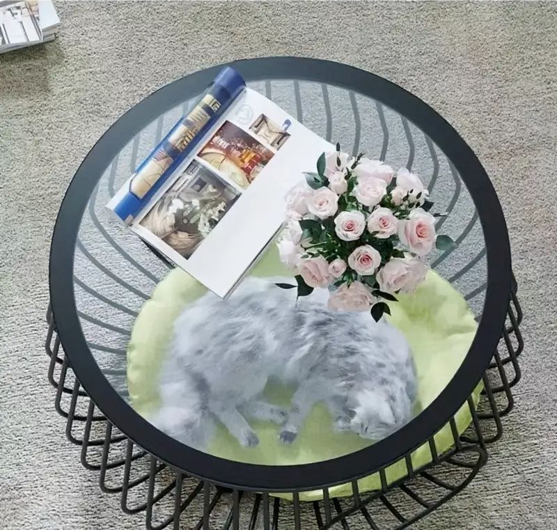 コンパクト