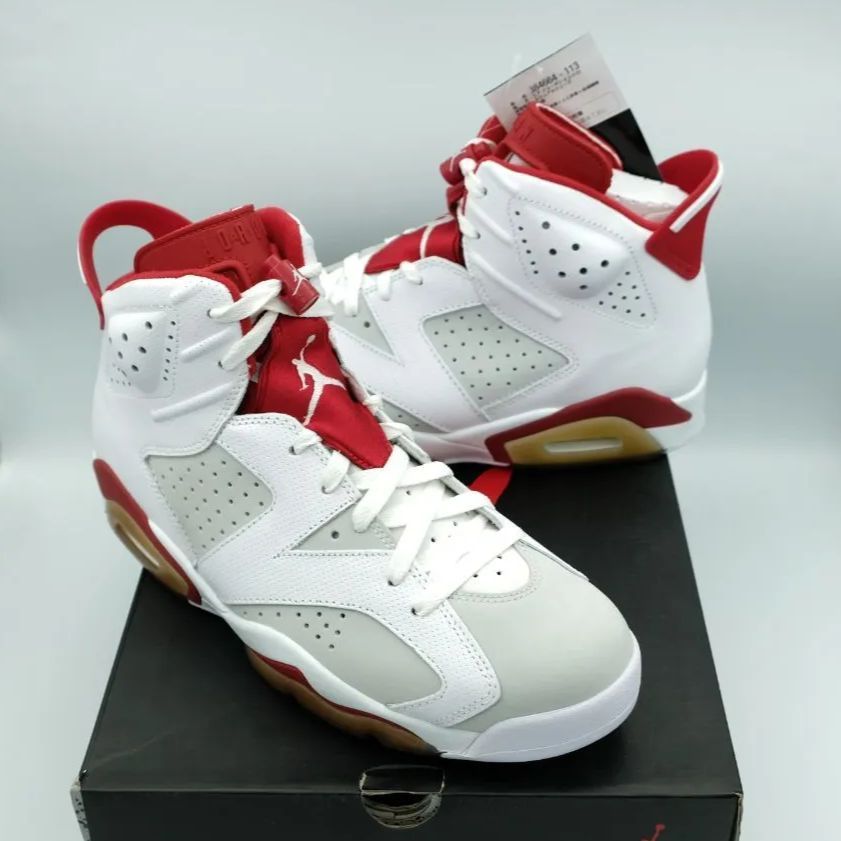 ナイキ　エアジョーダン6 レトロ　オルタネイト ナイキ エアジョーダン6 レトロ 