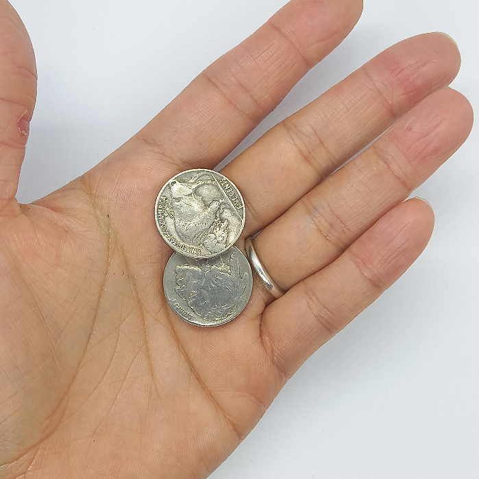 coin-4□5セントコイン インディアン&バッファロー【1930～1937年