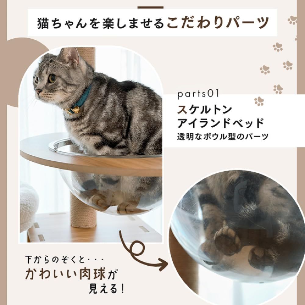 木登りアスレチックタワー 透明ハンモック