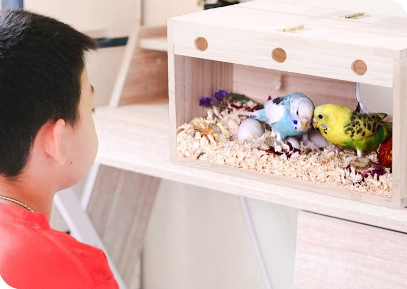 メルカリShops - 人気商品インコ オウム孵化 繁殖箱 繁殖ボックス 横式 天然木材 鳥の巣 ア