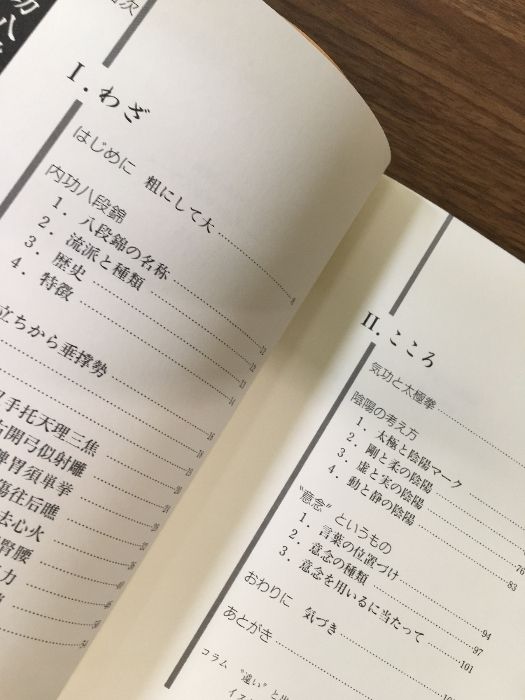 内功八段錦　気功太極拳入門　新渡戸道子 内功八段錦 気功太極拳入門】1999年 新渡戸道子 毎日カルチャー