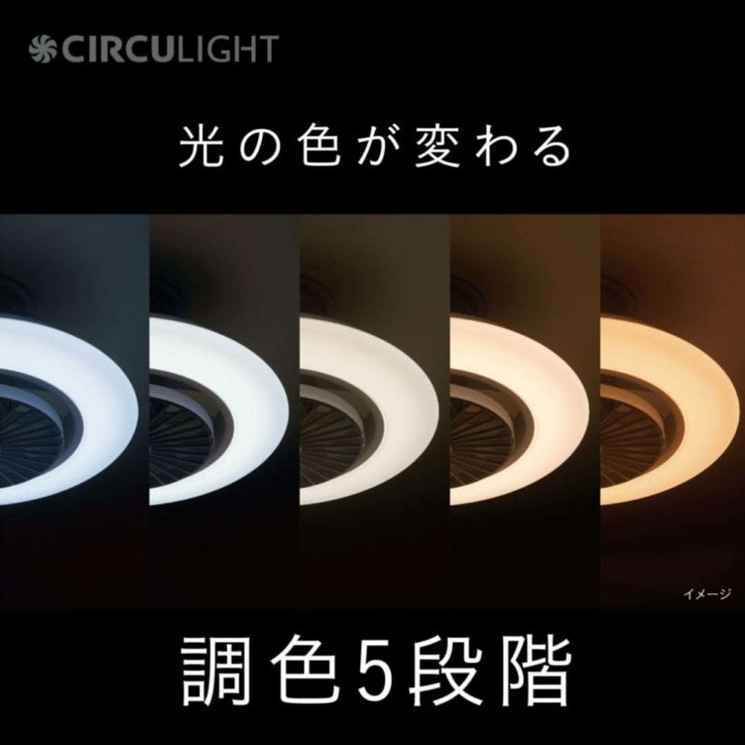 DOSHISHA ドウシシャ