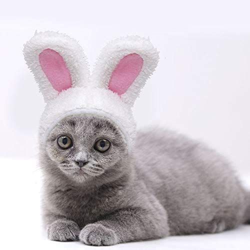 うさぎいぬさま専用 ペット帽子うさぎ変身 猫 かぶりも 猫用帽子 犬猫用ウィッグ