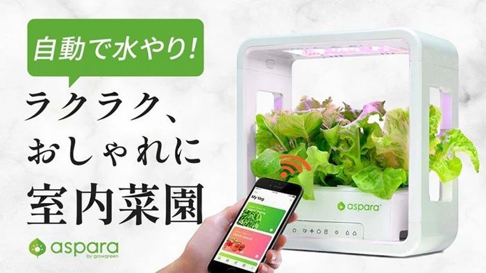 お洒落