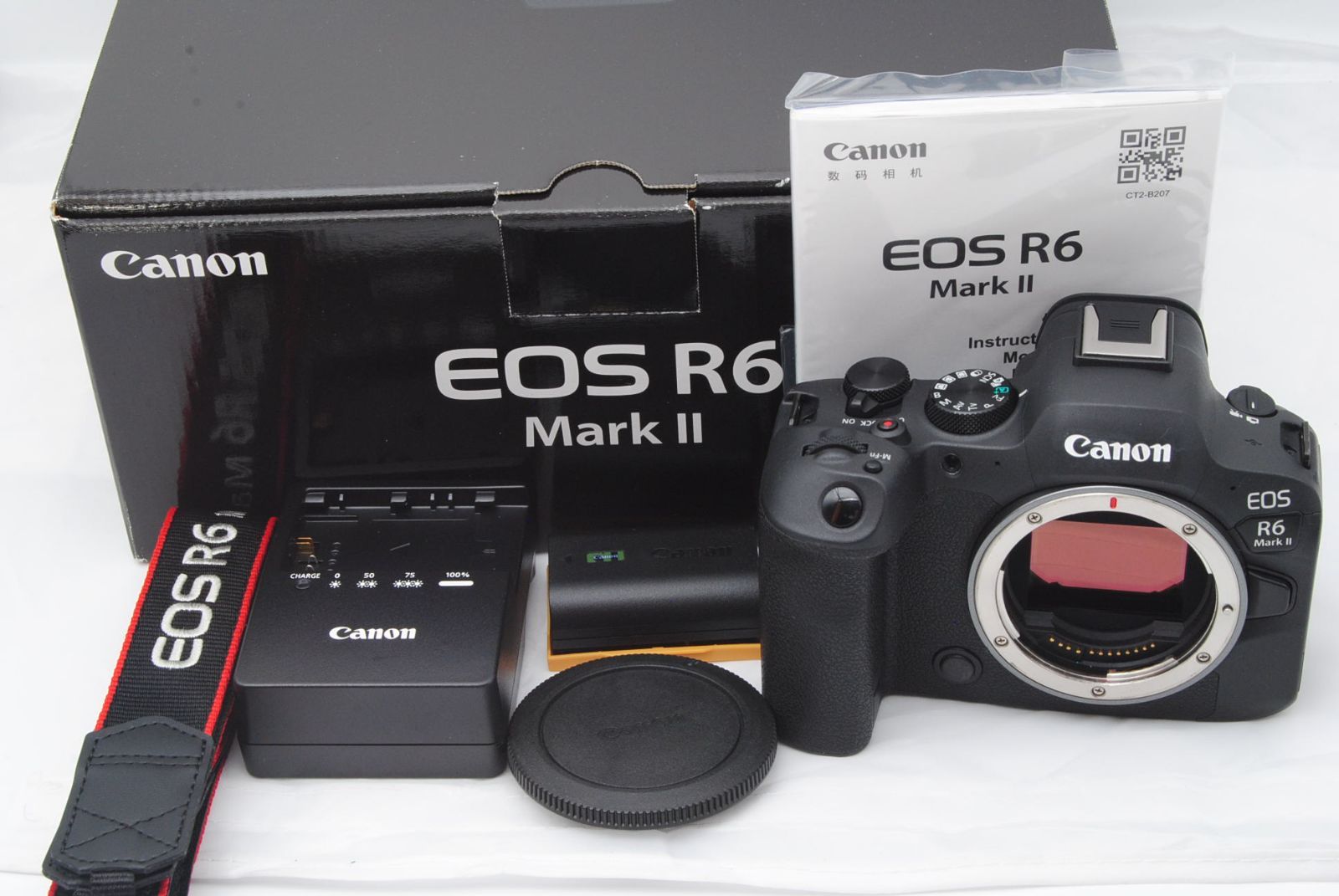 Canon EOSR6MarkII 箱付き　美品 22000ショット台！元箱付き！新品級 ☆ キヤノン EOS R6 MarkII