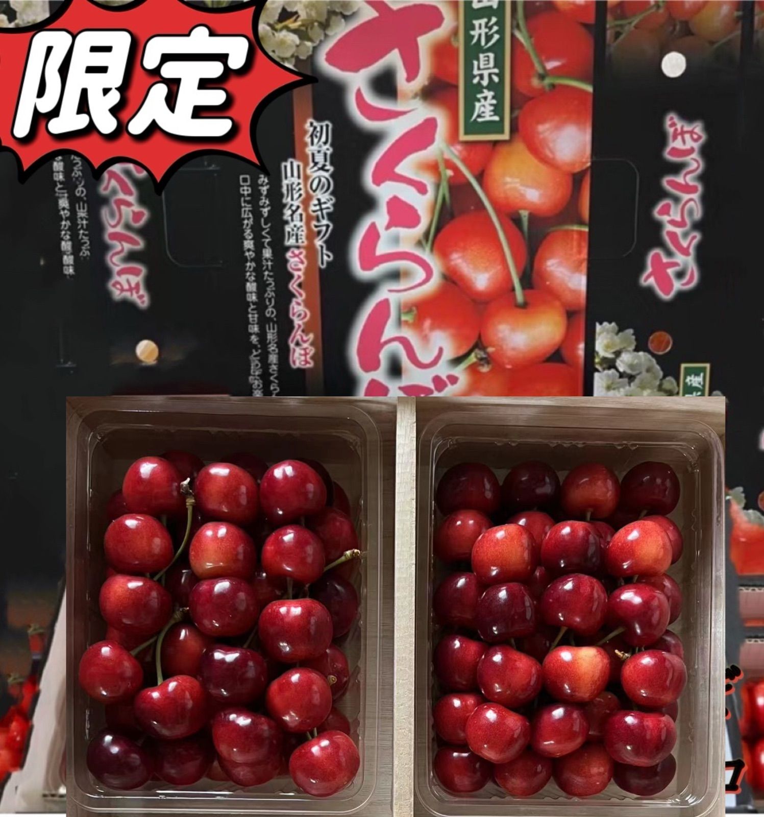 予約販売 山形県産さくらんぼ やまがた紅王 1kg