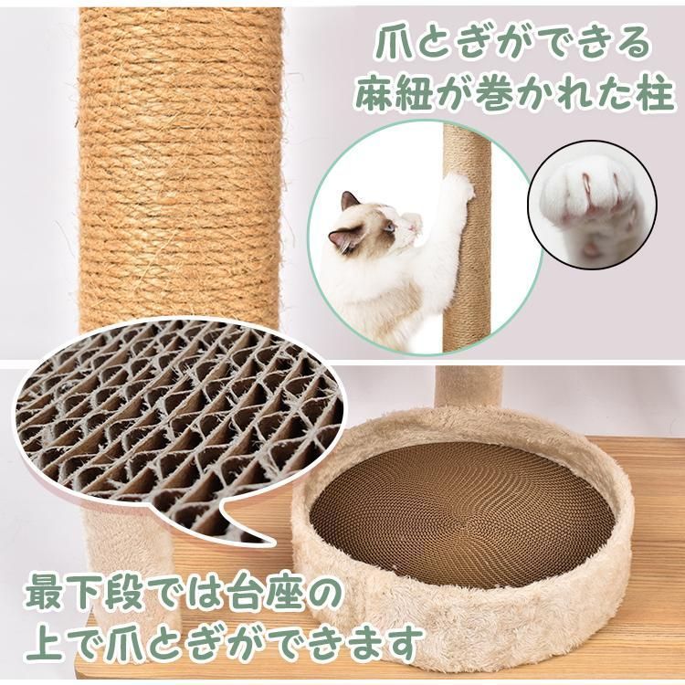 キャット