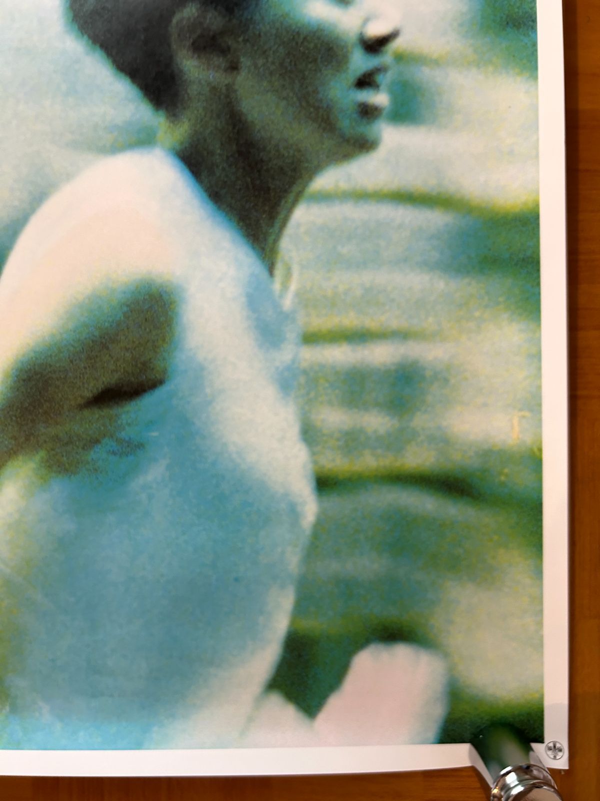 君さえいれば/金枝玉葉 レスリー・チャン(1994年) 劇場公開