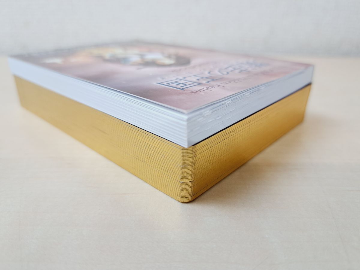 魔法の王国オラクルカード WISDOM of the Hidden Realms (日本語