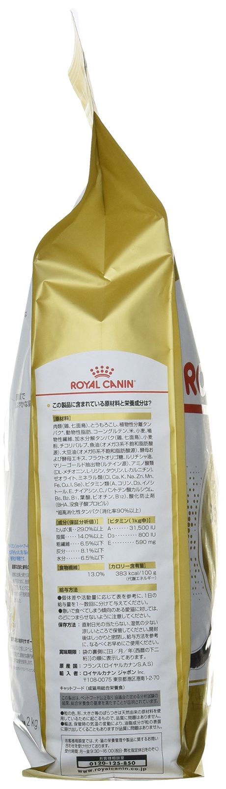 アメリカンショートヘアー