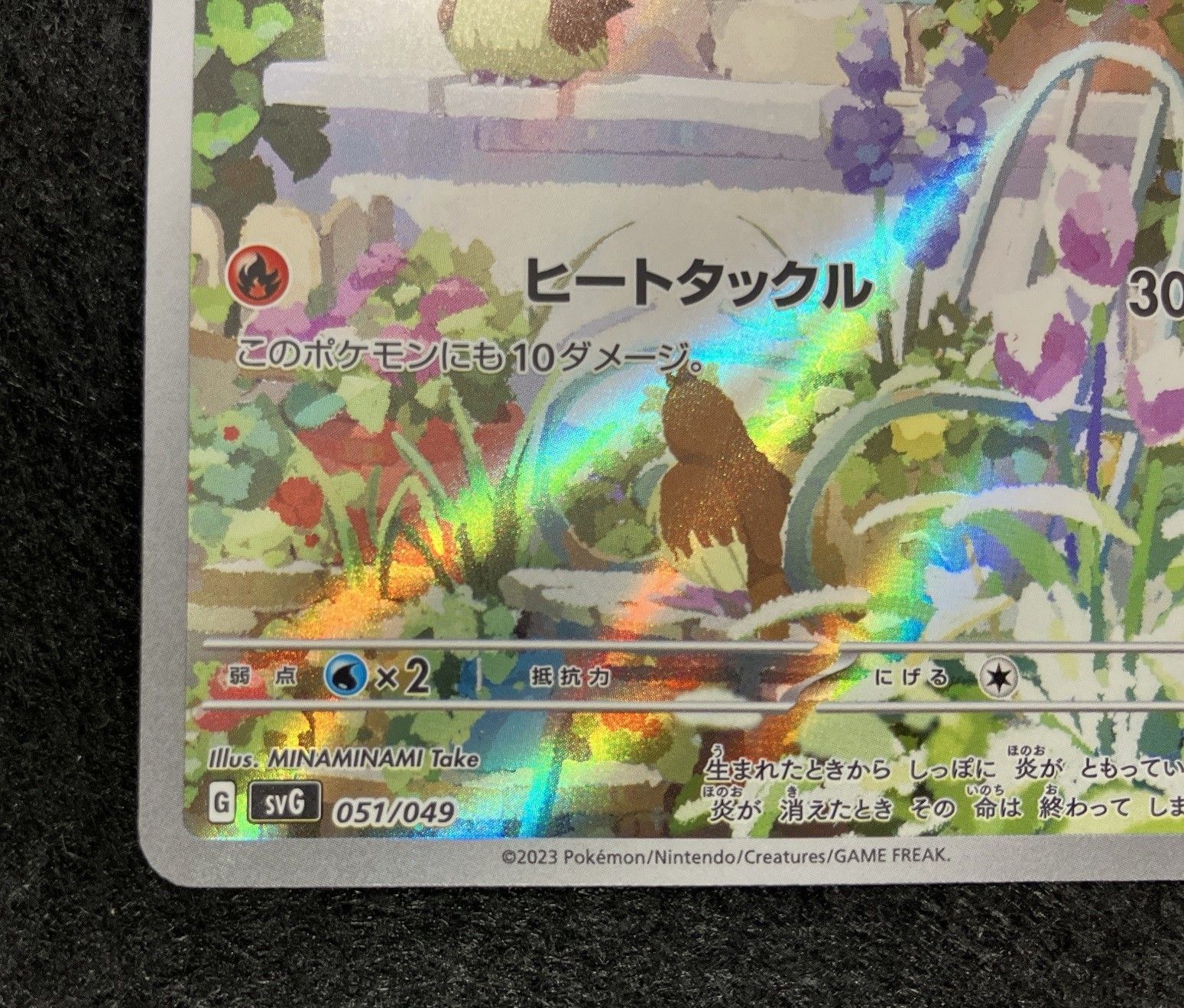スペシャルデッキセットex PSA10 3連番フシギダネ ヒトカゲ