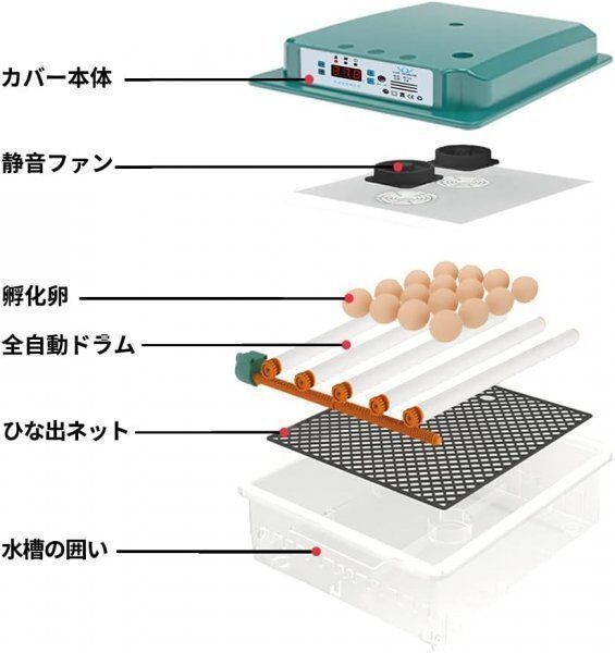  自動孵卵器インキュベーター 恒温器 孵化器 鳥類 ふ卵器 自動転卵式 鶏卵 アヒル うずら 恒温孵化器全自動 6- の卵 その他 鳥用品
