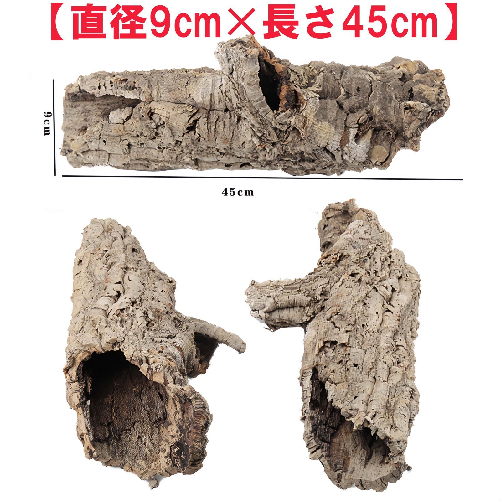コルク樹皮　ビカク板付　爬虫類　シェルター　⑫ 楽天市場】形状お任せ 天然素材のハーフシェルター M コルク