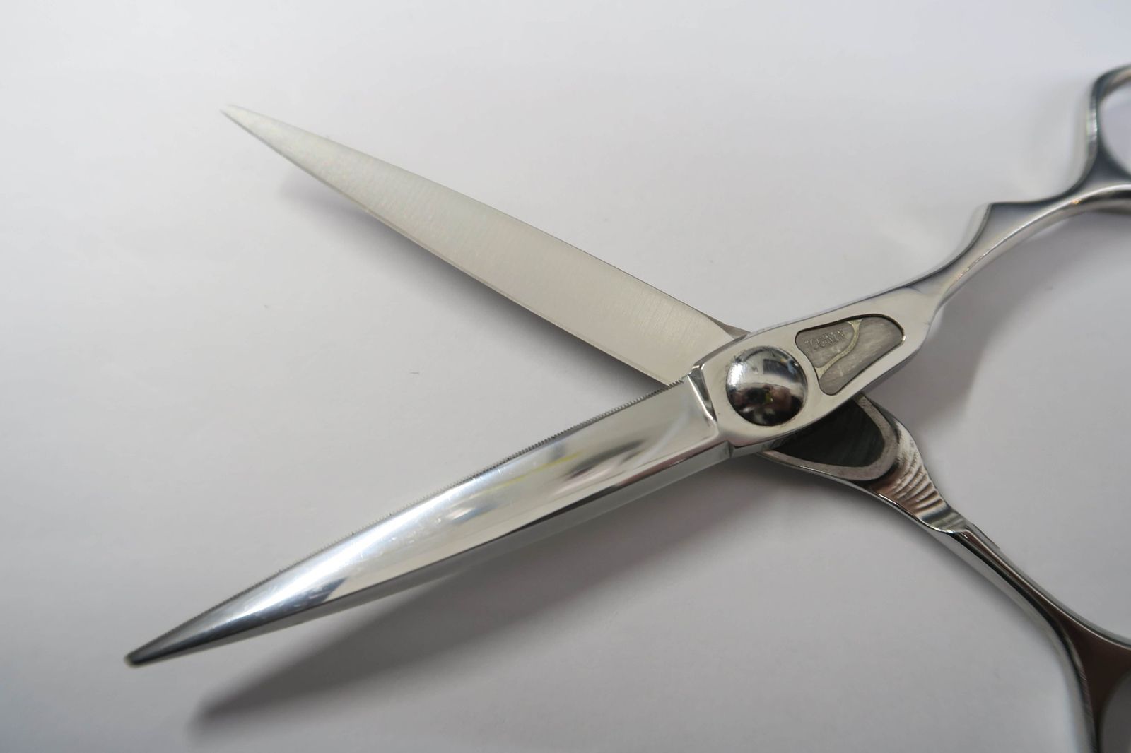 Bランク【トギノン TOGINON】 マリンシャーク Marine Shark 6.0 シザー