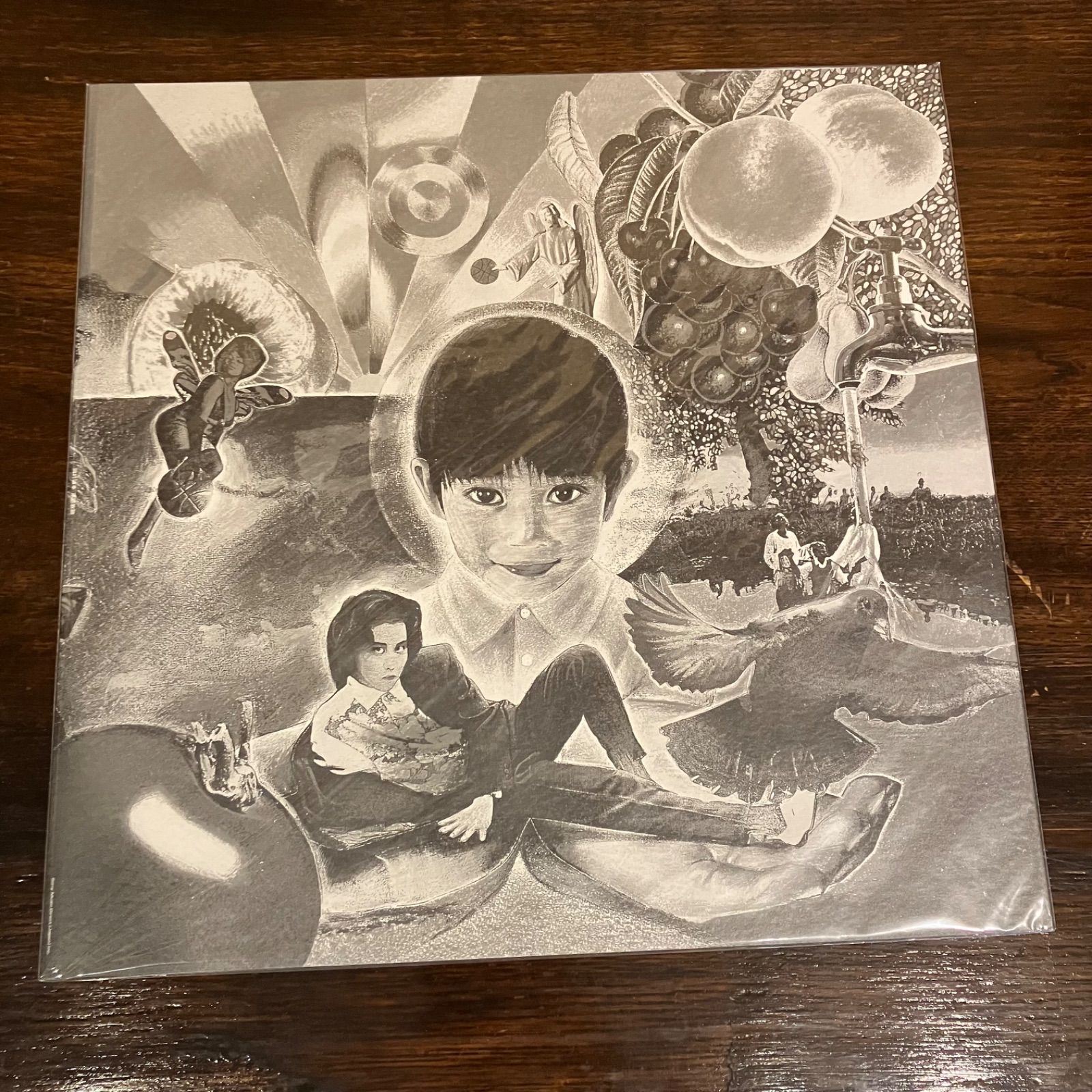 岡村靖幸 LPレコード 家庭教師 特製スリーブケース付 岡村靖幸 LPレコード 家庭教師 特製スリーブケース付 岡村靖幸 LP