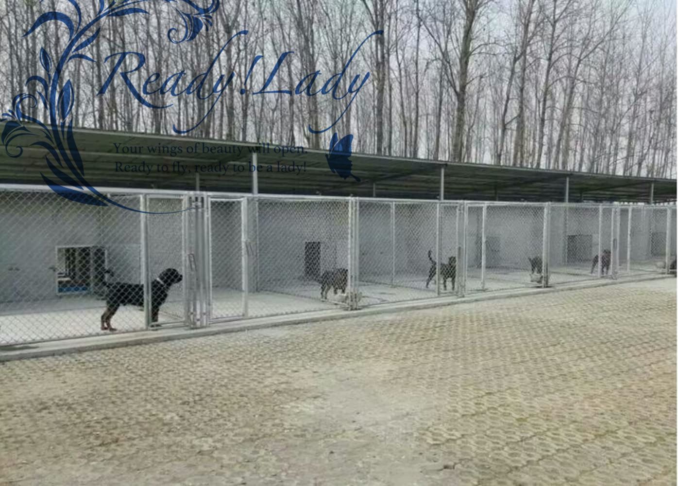 ペットフェンス針金犬籠大型犬室外ポンポン穴開けずDIYペットケージ B-2.3*2.3*1.7