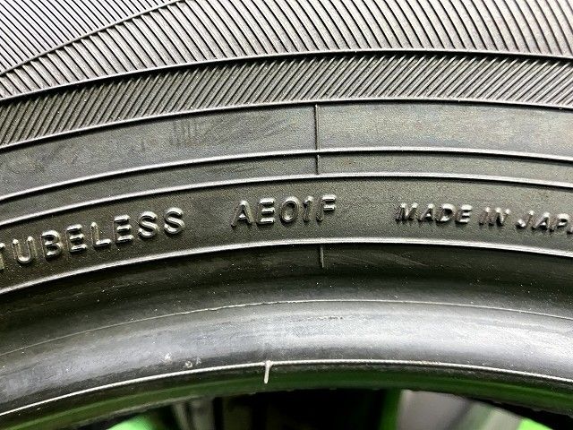 ブルーアースAE01F 205