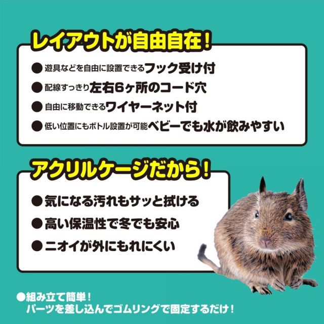 小動物用 フクロモモンガ