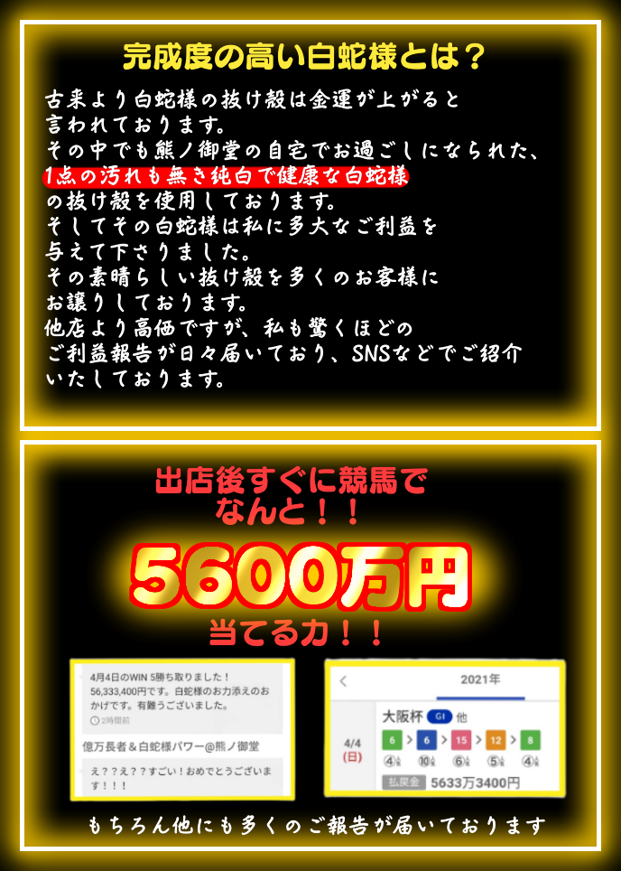 人気の新作 天赦日 白蛇の抜け殻 金運上昇