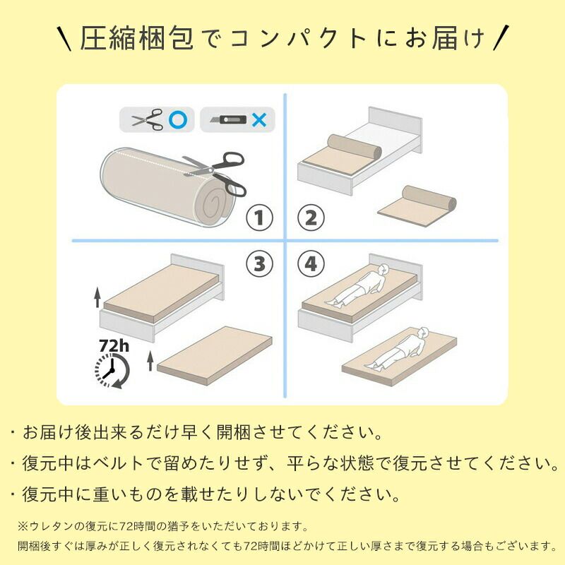フェスタ2