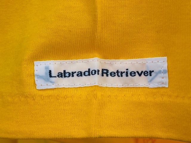 未使用保管品 Labrador Retriever ラブラドール リトリーバー コットンTシャツ Ｍサイズ イエロー系 /53230在