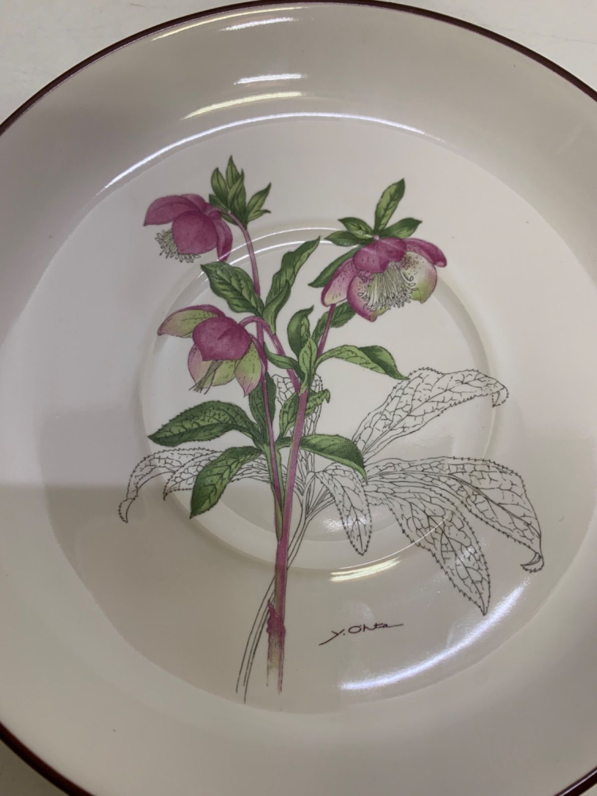 太田洋愛 Y.Ohta TOKO陶器 植物画シリーズ ボタニカル アート