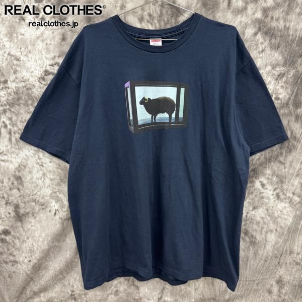 Supreme/シュプリーム【25SS】Damien Hirst Tee/ダミアン ハースト