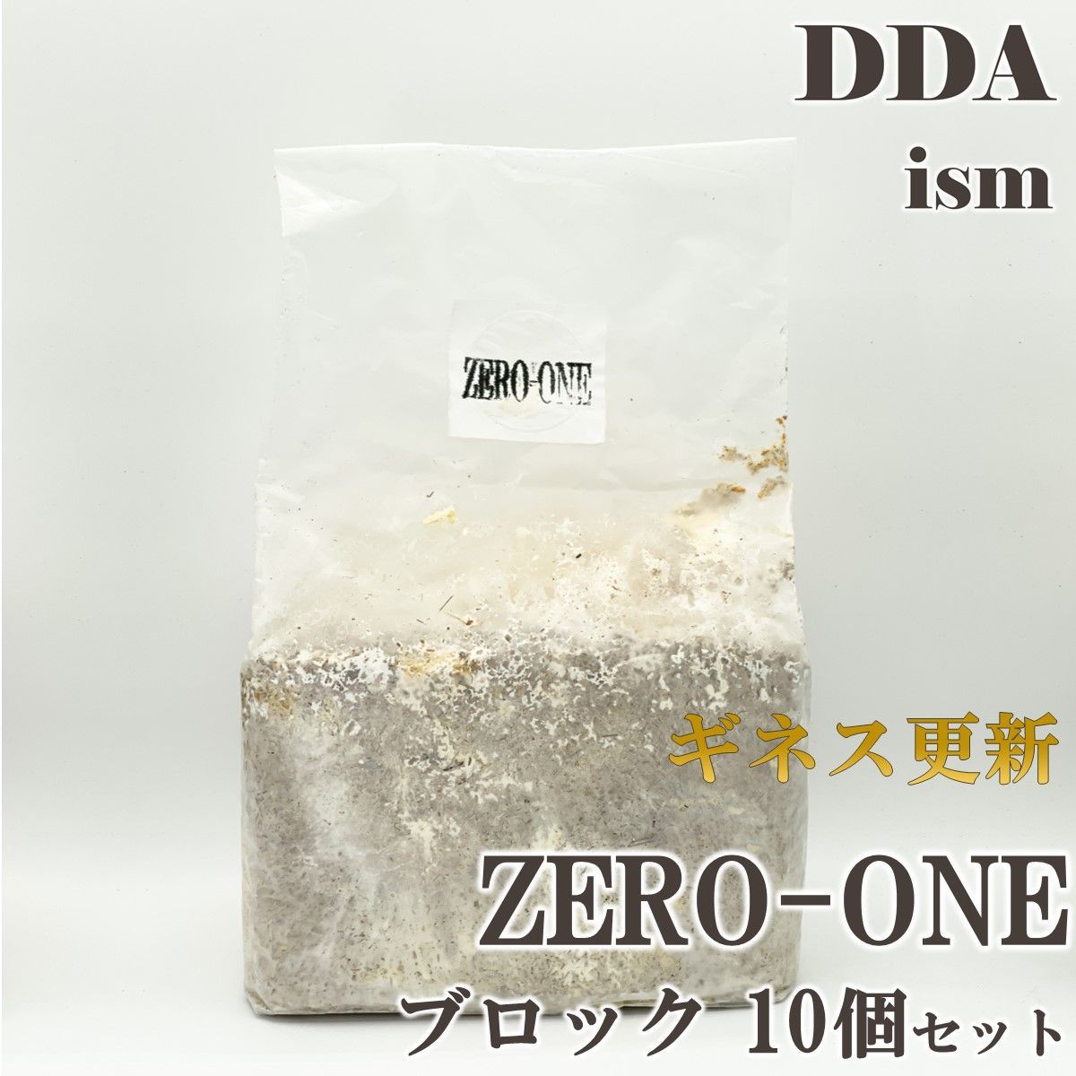 ギネス更新 スマトラオオヒラタ109.8mm【DDA】ZERO-ONE 菌糸 ブロック 10個セット dda クワガタ 菌糸瓶 菌糸ビン 幼虫 エサ