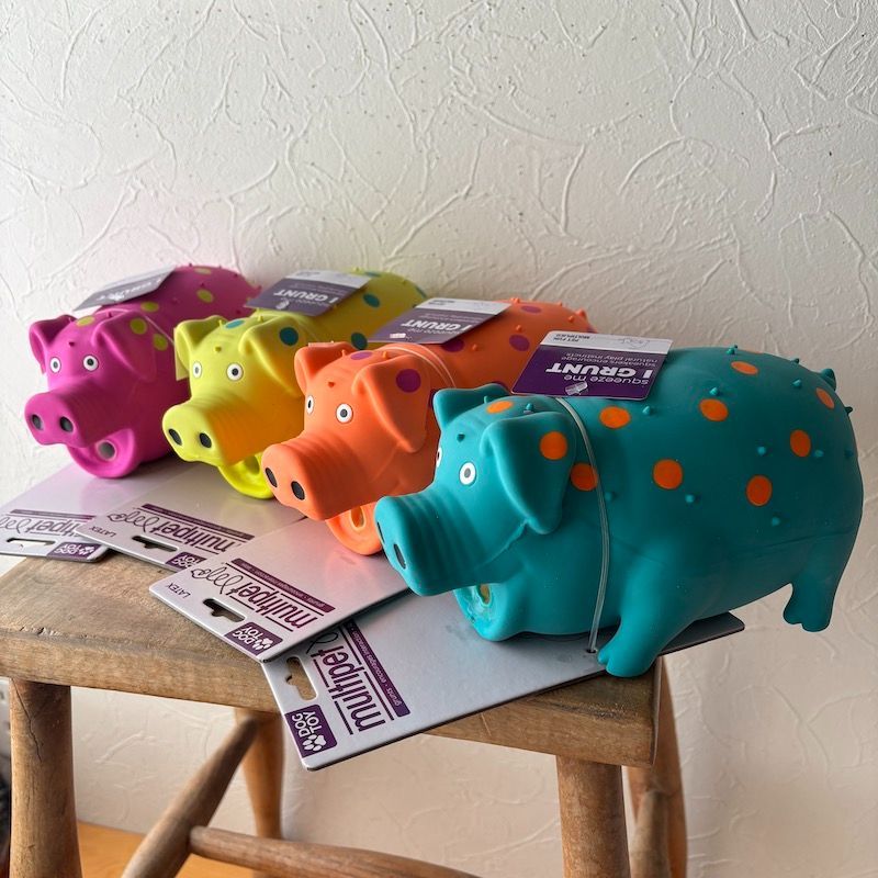 ラテックスグランティングピッグMULTIPET Grunting Pigs 9"