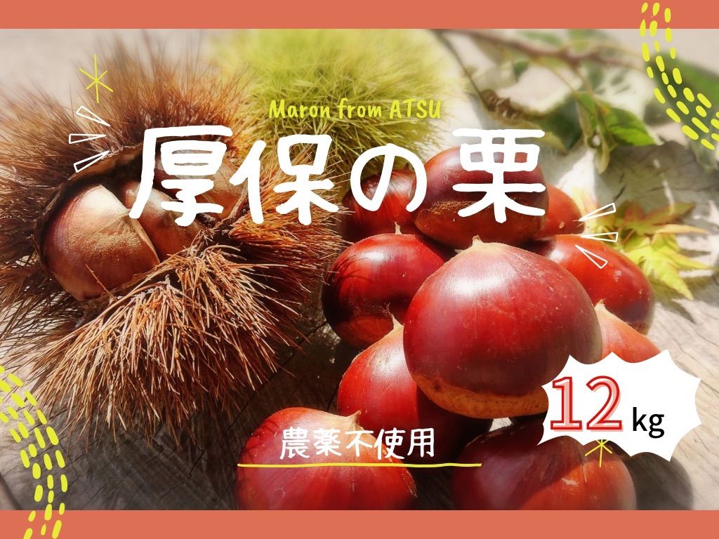 サイズ混合!!厚保 あつ の栗 12kg 無農薬