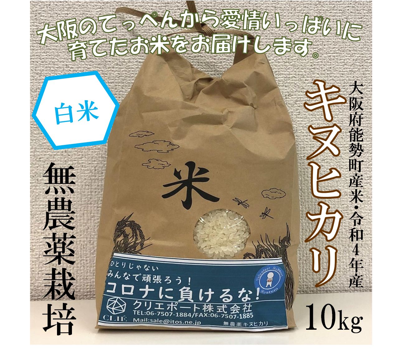 【令和４年産/無農薬栽培】大阪のてっぺんキヌヒカリ白米10kg大阪府能勢産