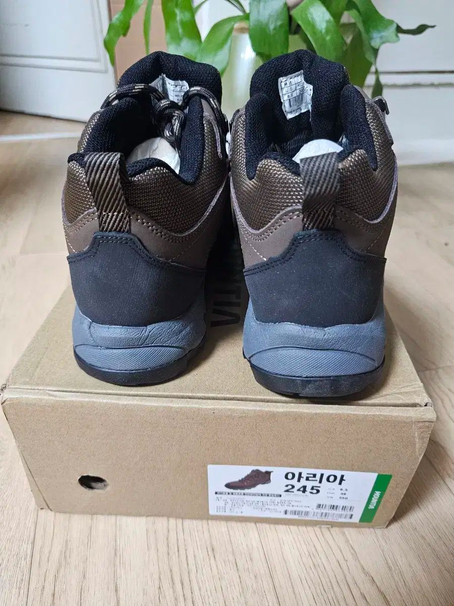 マウンティア 四季