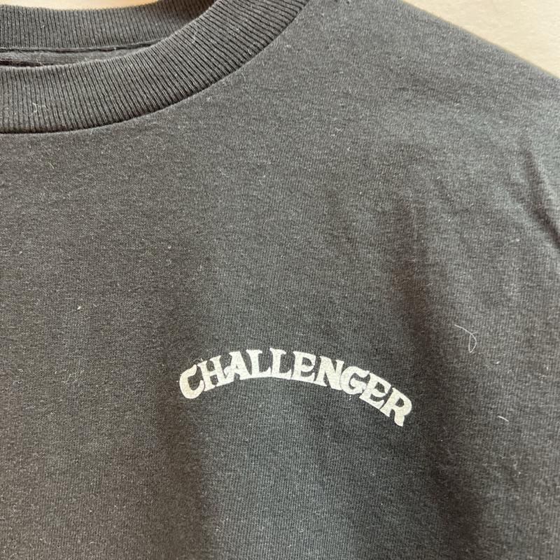 CHALLENGER チャレンジャー Tシャツ 長袖 FLY L/S TEE 蝿 ハエ