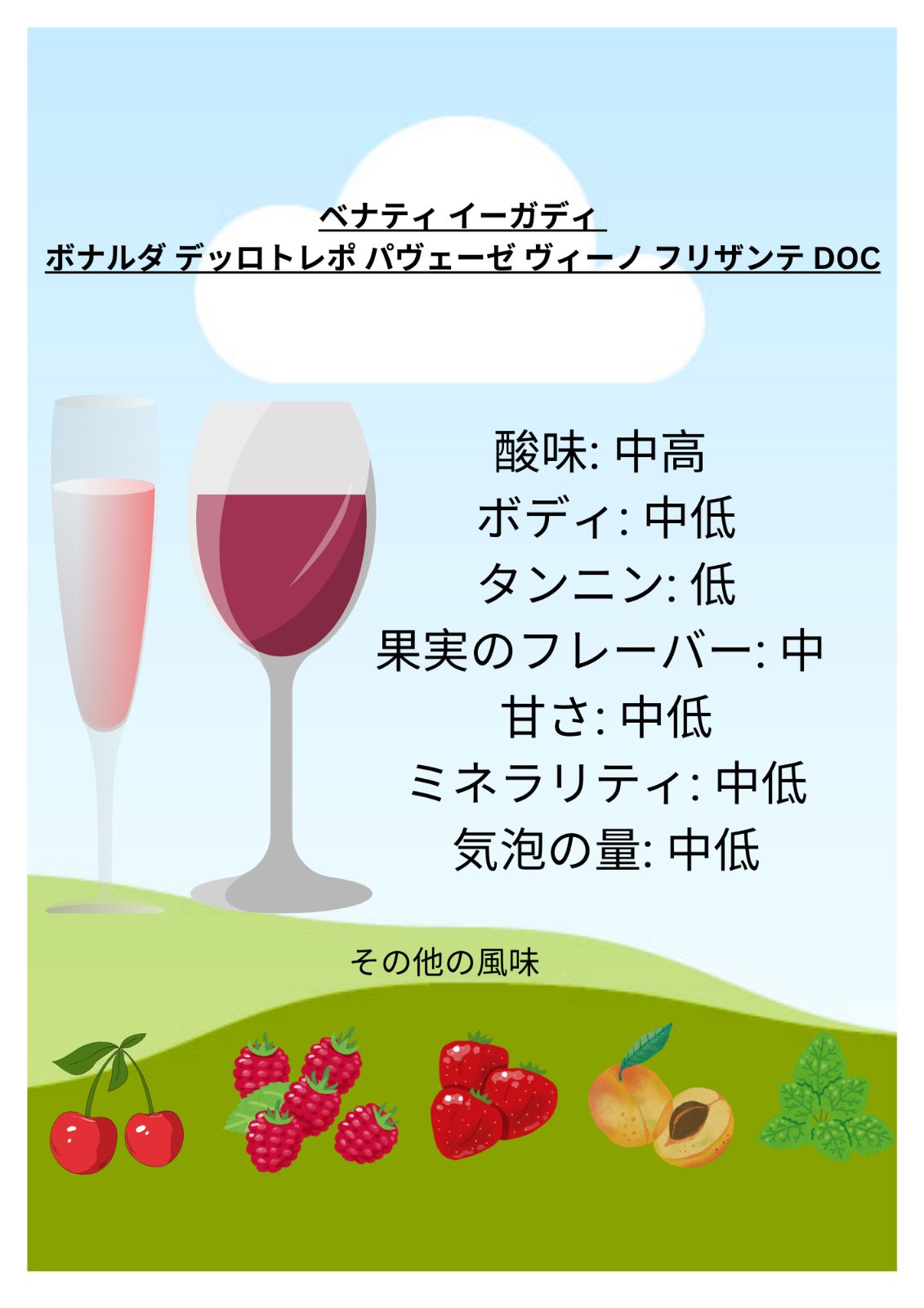 ワイン 赤ワイン イタリア 6本セット 泡 【公式通販】
