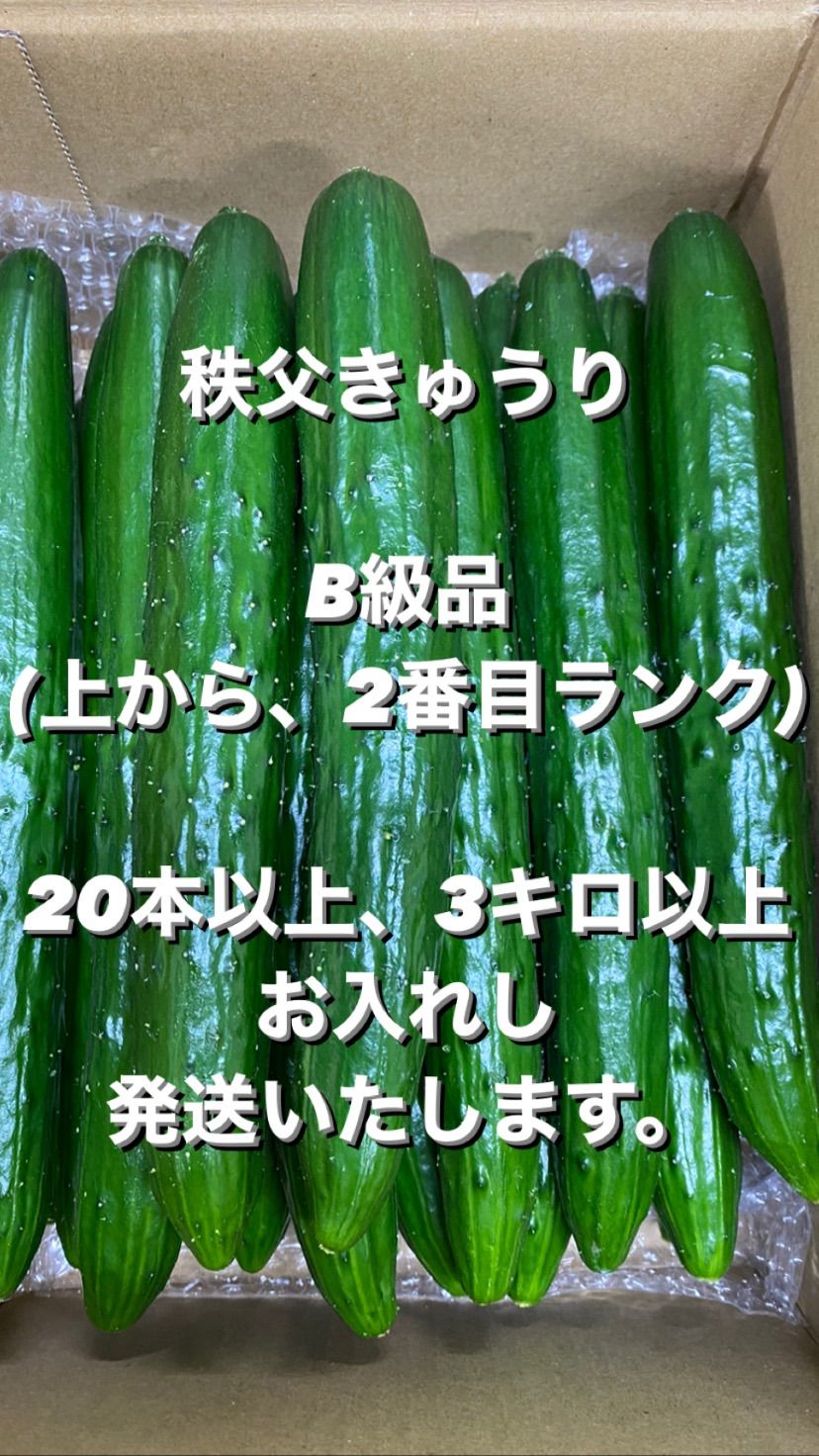 B級品 きゅうり 20キロ B級品 きゅうり 20キロ 【公式通販】