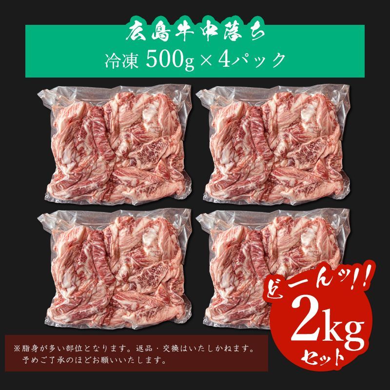 【A5等級】 和牛 広島牛 中落ち カルビ 500g × 4パック 2kg 真空 冷凍 / 焼肉 ゲタカルビ バーベキュー 霜降り-5