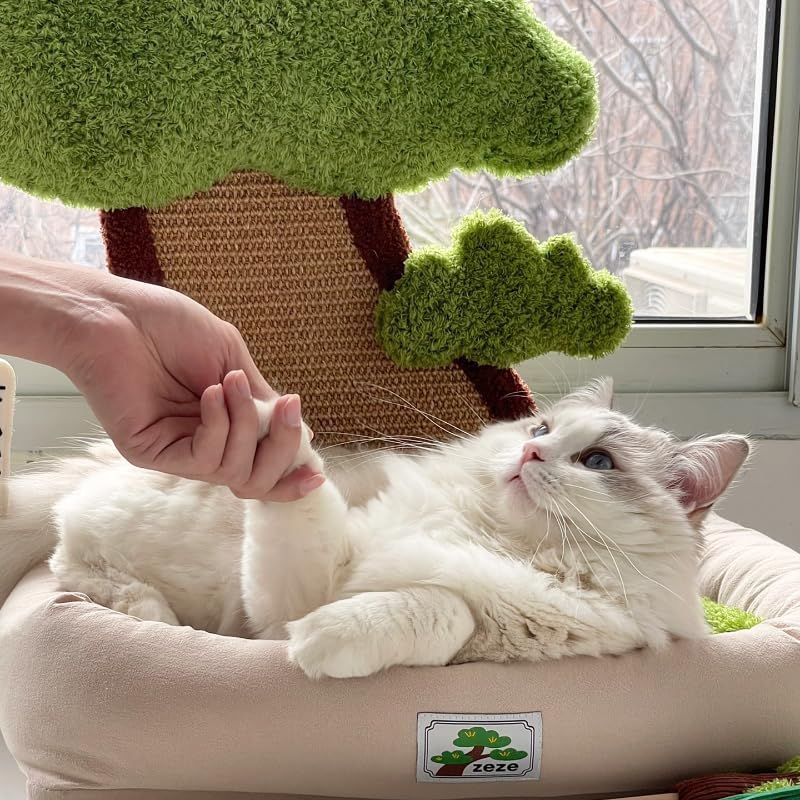 送料無料】 PET-ZEZE 猫 ベッド 猫ハウス 猫ベッド キャットタワー ...