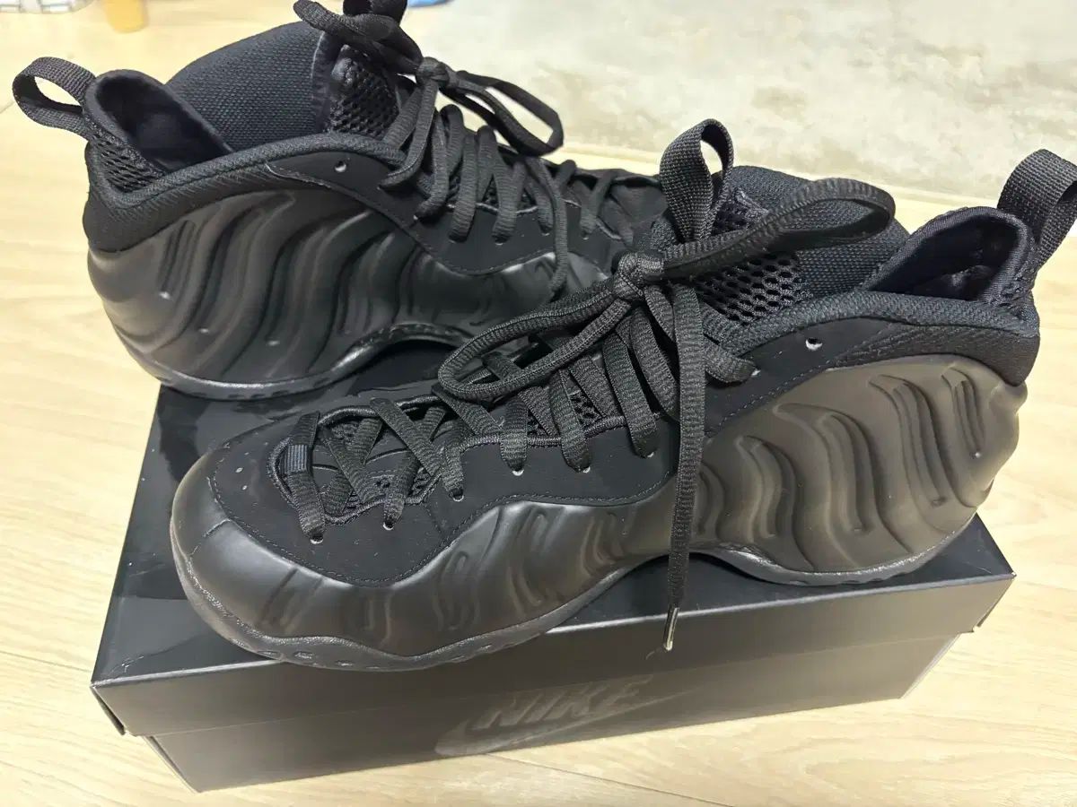 NIKE ナイキ エアフォームポジット 黒 285